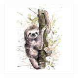 Sloth - Wildlife Collection (Print Only) thumbnail