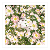 Child Of Nature (Print Only) thumbnail