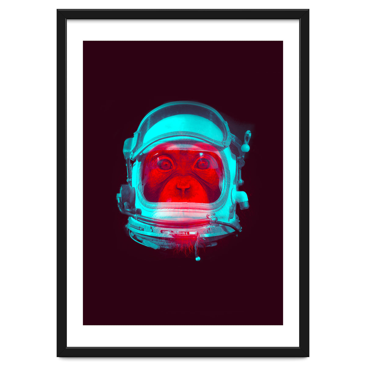 Astronaut