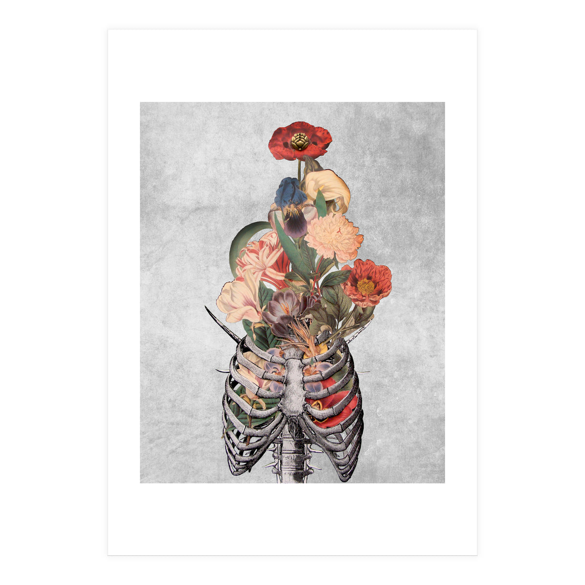 arte vittoriana (Print Only)