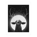 The Banyan Deer (Print Only) thumbnail