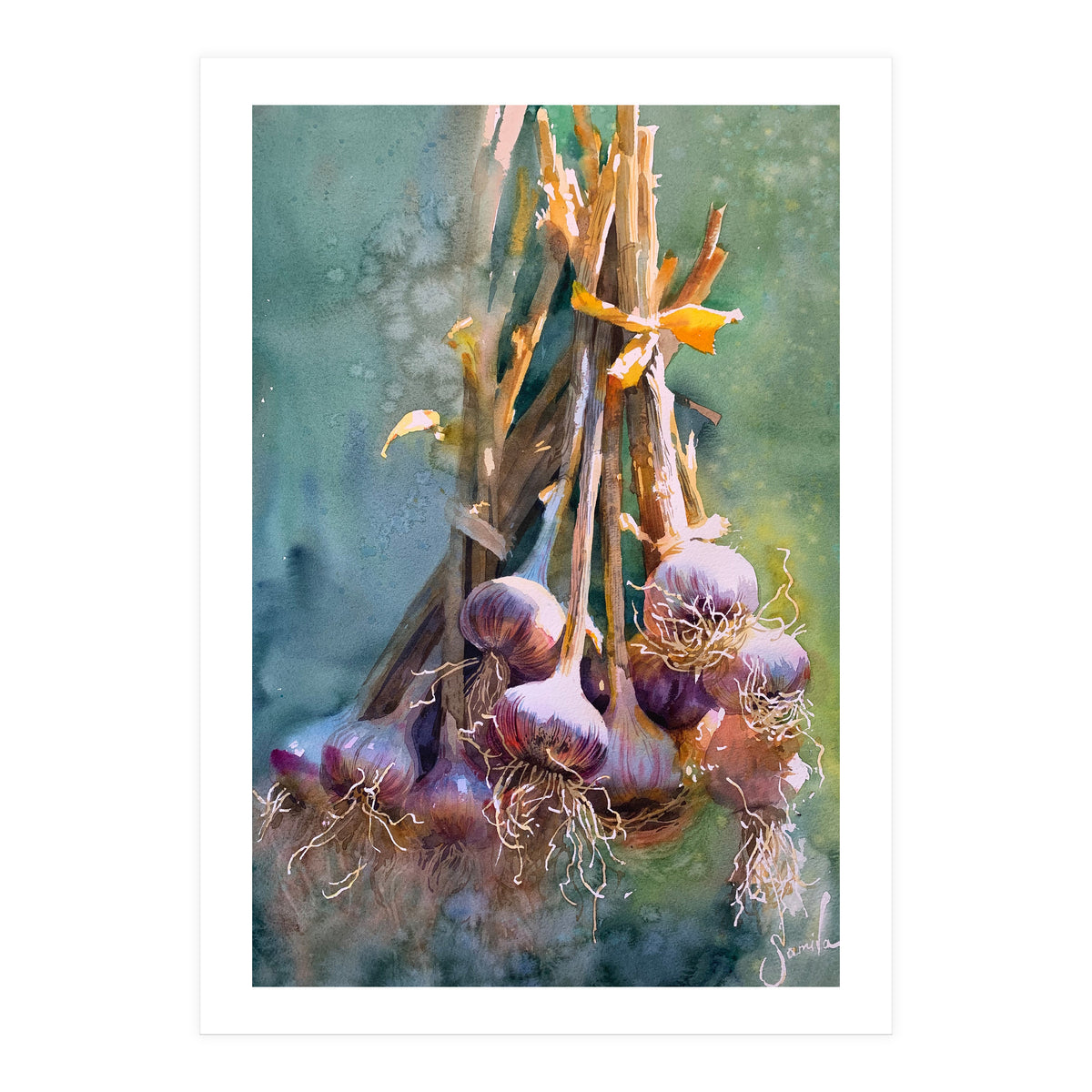 Still Life Garlic (Print Only)