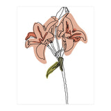 Lily (Print Only) thumbnail