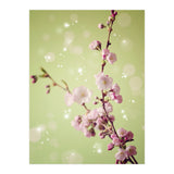 Springtime  (Print Only) thumbnail