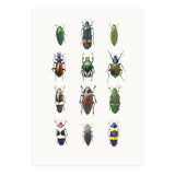 Cc Insects 03 (Print Only) thumbnail