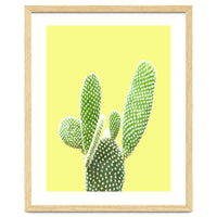 Cactus Yellow Background