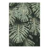 MONSTERA LEAVES (Print Only) thumbnail