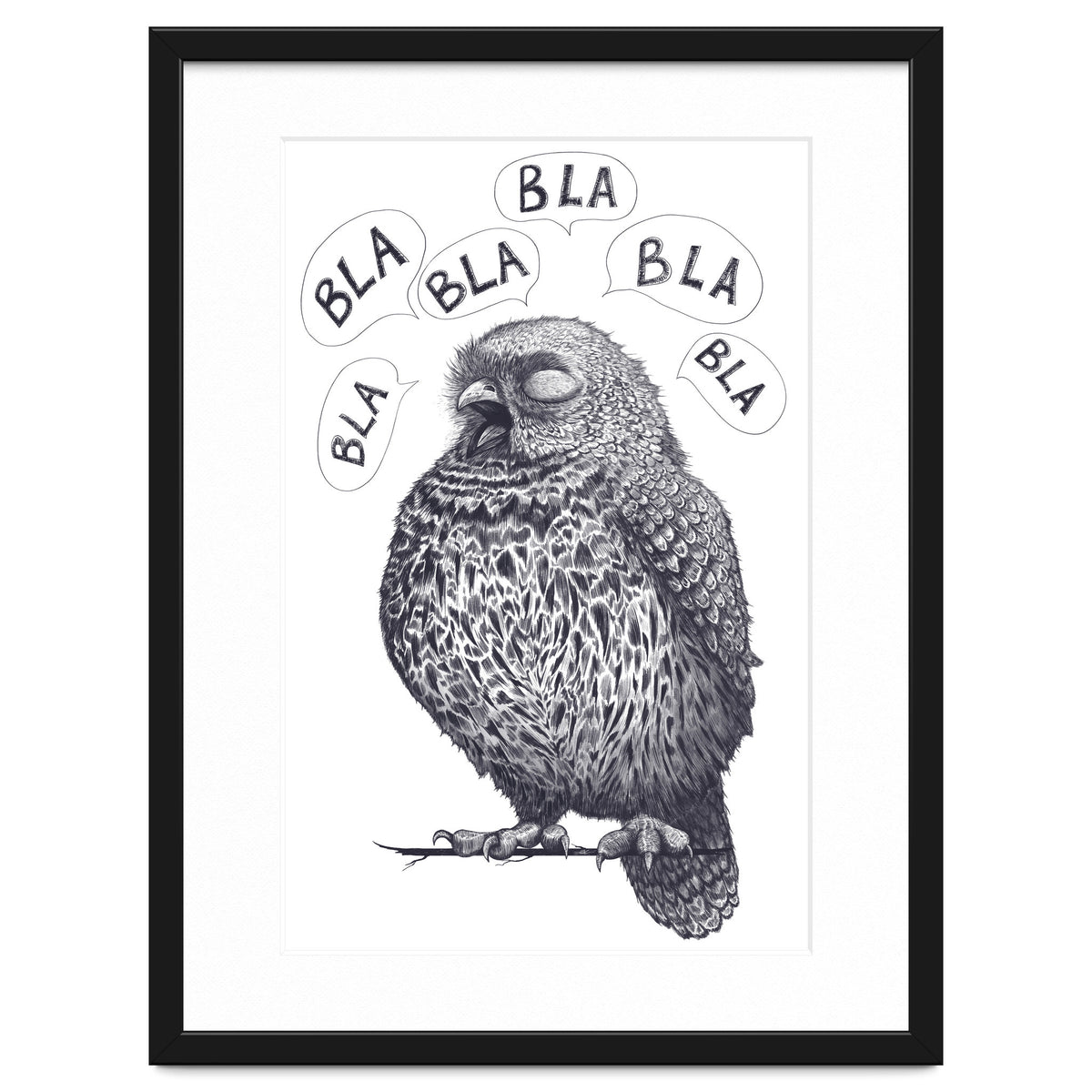 Owl Bla Bla Bla