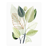 Spring Botanical Collage (Print Only) thumbnail