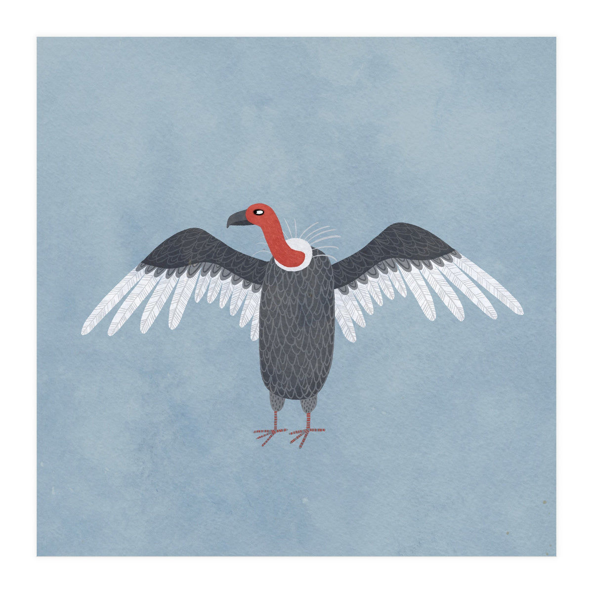 Vulture (Print Only)