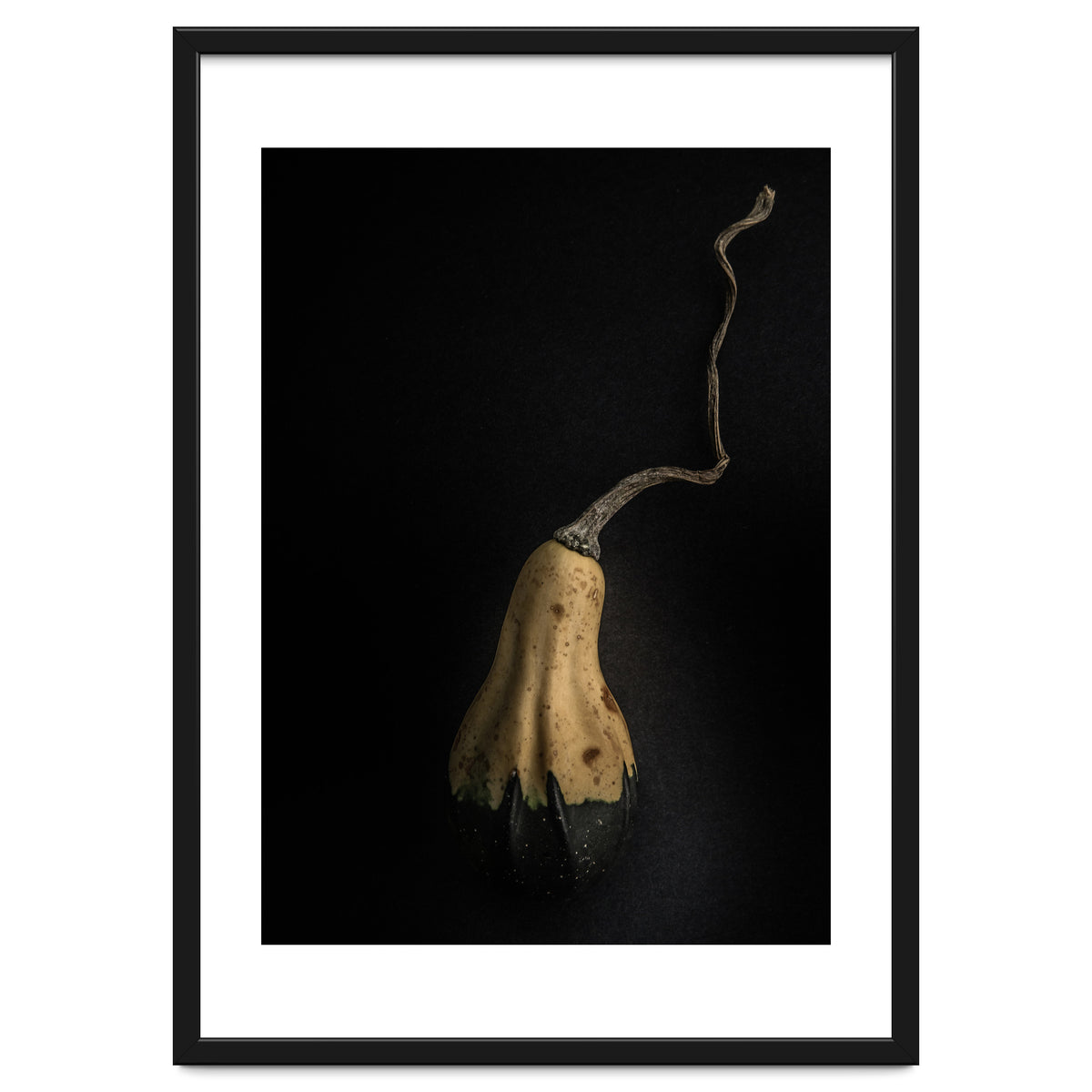 Gourds No 12 Color Version