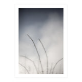 Forgotten Memories of summer #18 (Print Only) thumbnail