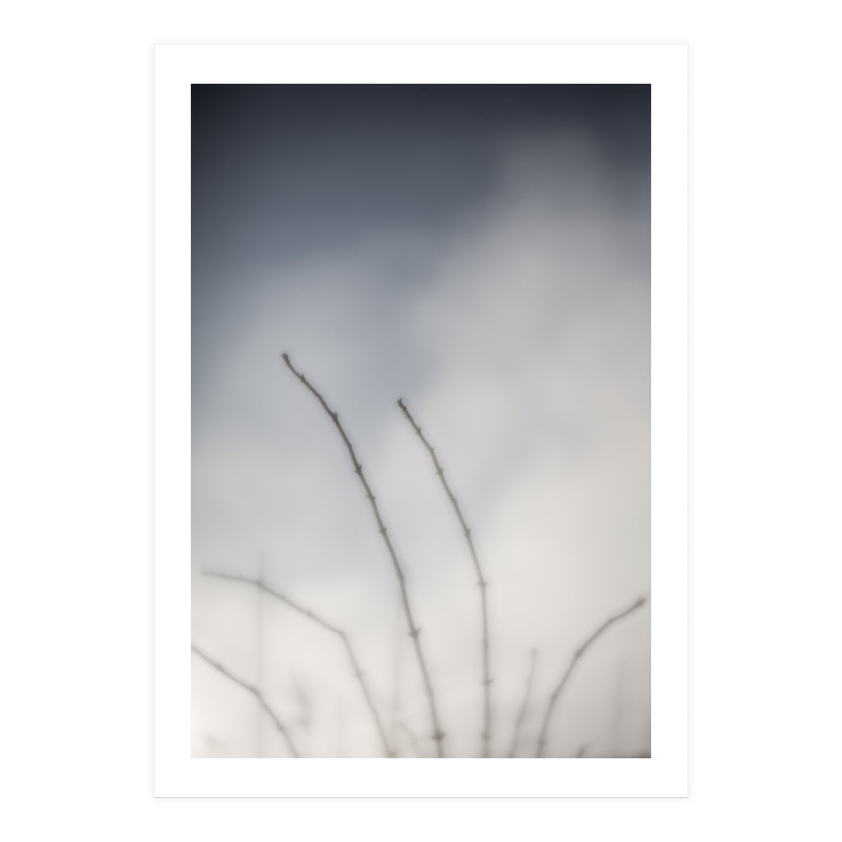 Forgotten Memories of summer #18 (Print Only)