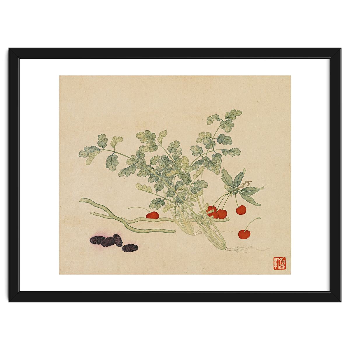 Wang Chengyu~flowers And Vegetables, Vegetables, Fruits, Beans, Red Beans, Cherries, Celery