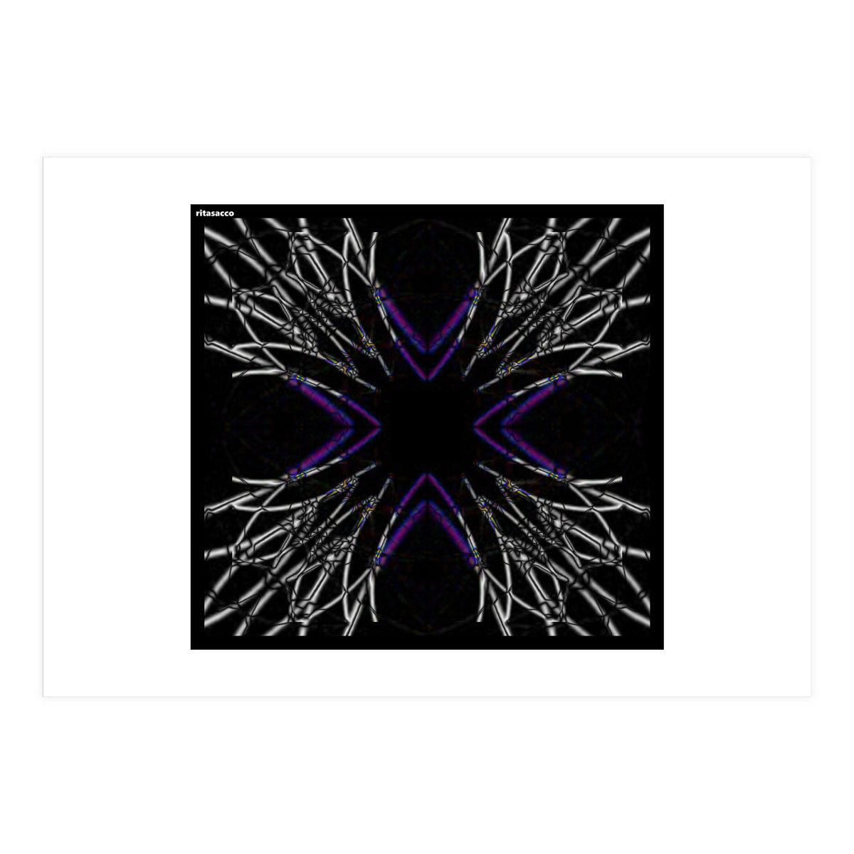 fiori.6.2png (Print Only)