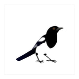 Magpie (Print Only) thumbnail