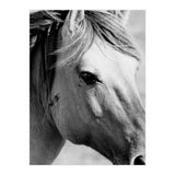 27 (Print Only) thumbnail