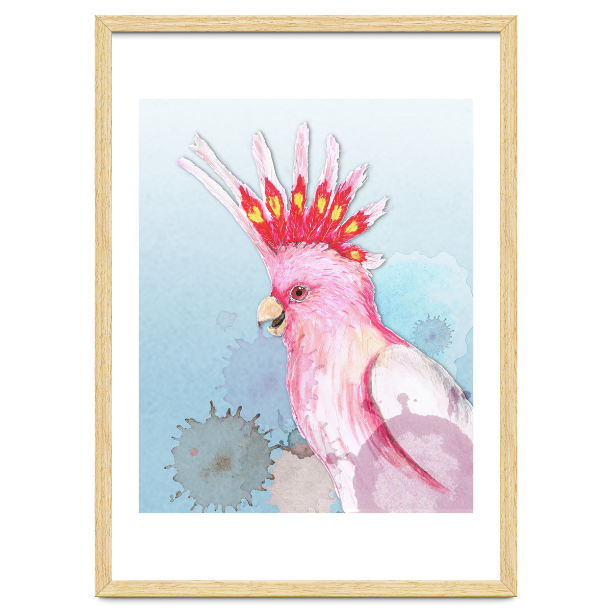 Major Mitchell's cockatoo