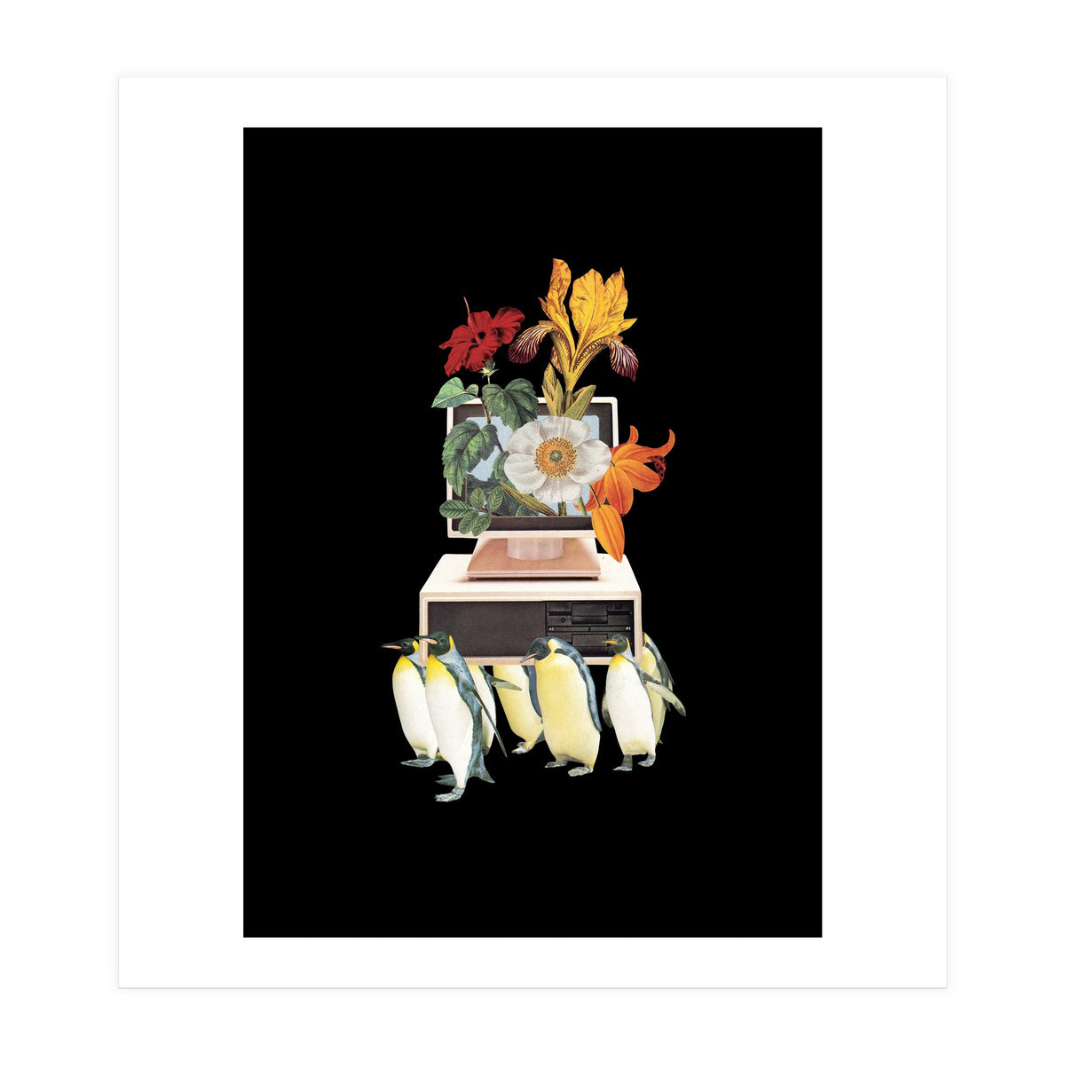 Penguin Os (Print Only)