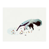 Anteater (Print Only) thumbnail
