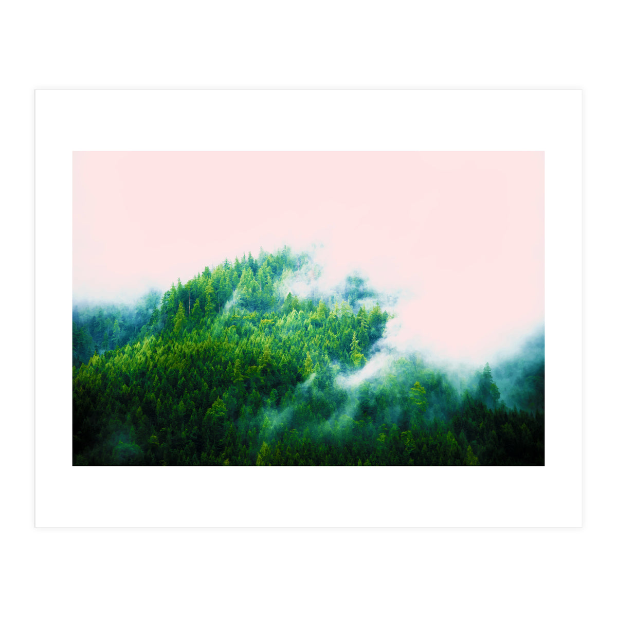 Into The Fog (Print Only)