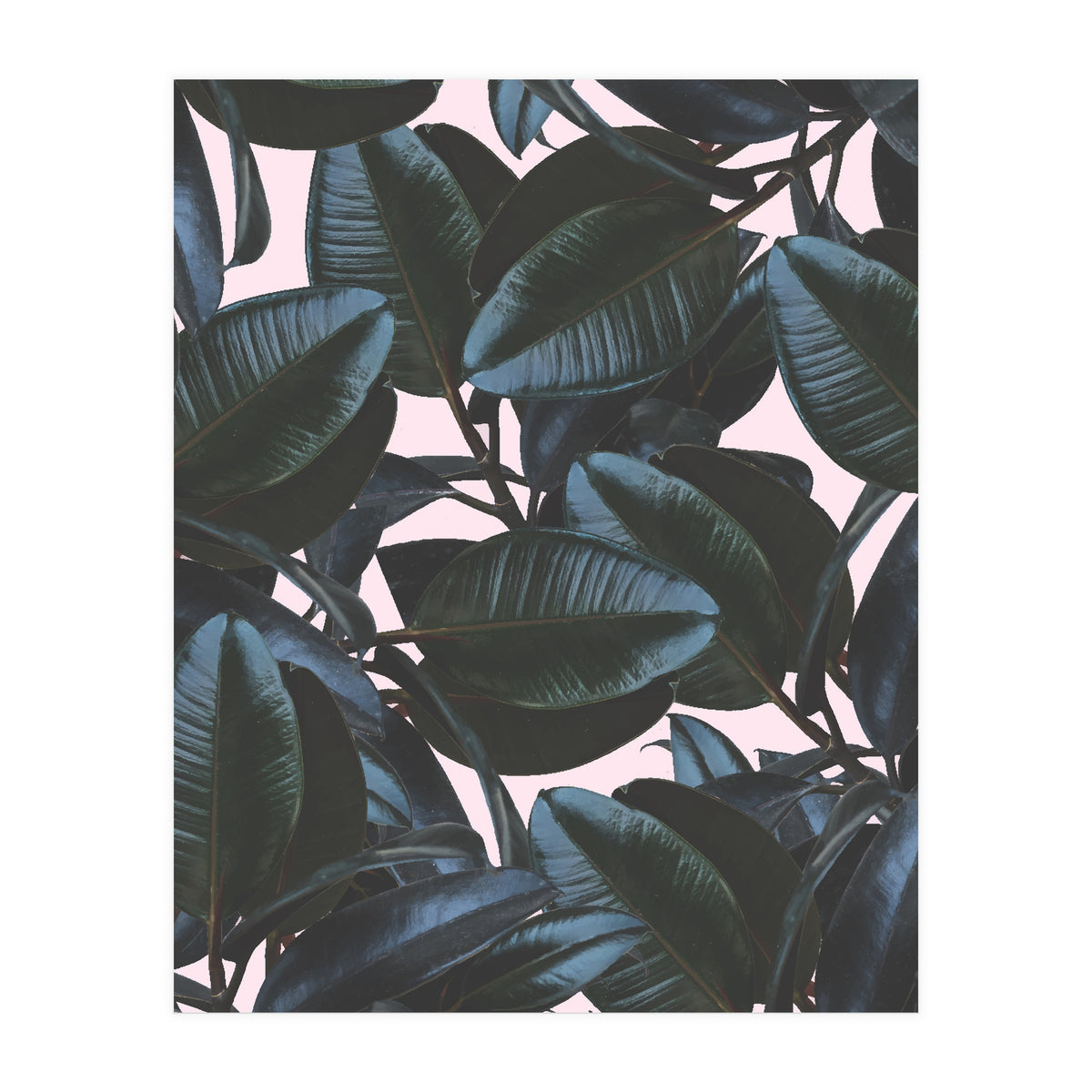 Charming Impression (Print Only)