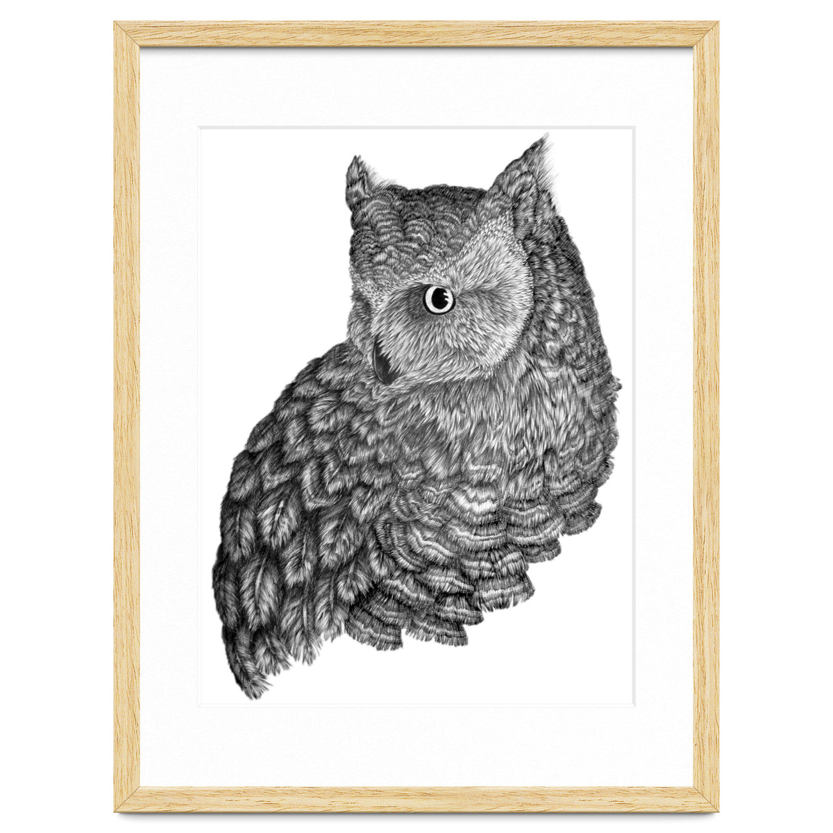 A Friend For Forsythe