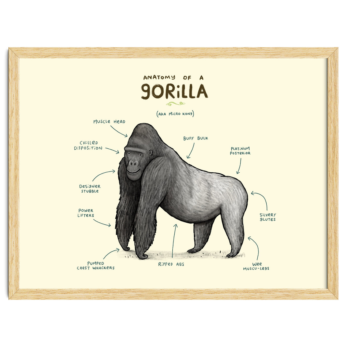 Anatomy of a Gorilla