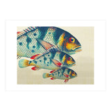 Fish Classic Designs 3 (Print Only) thumbnail