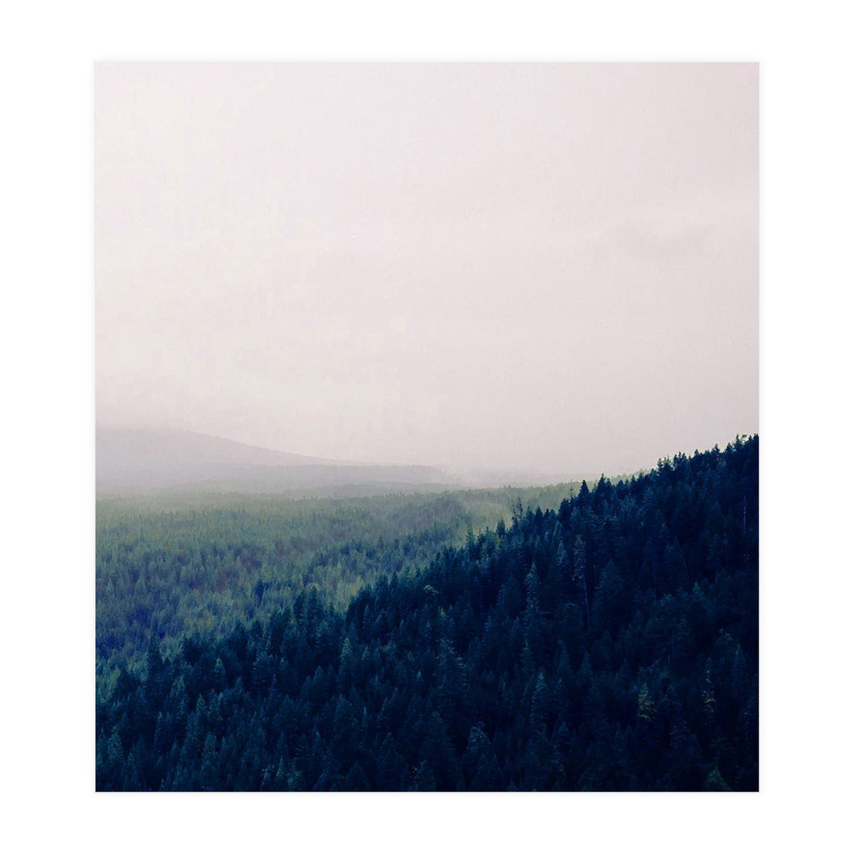 Priceless Treasure (Print Only)