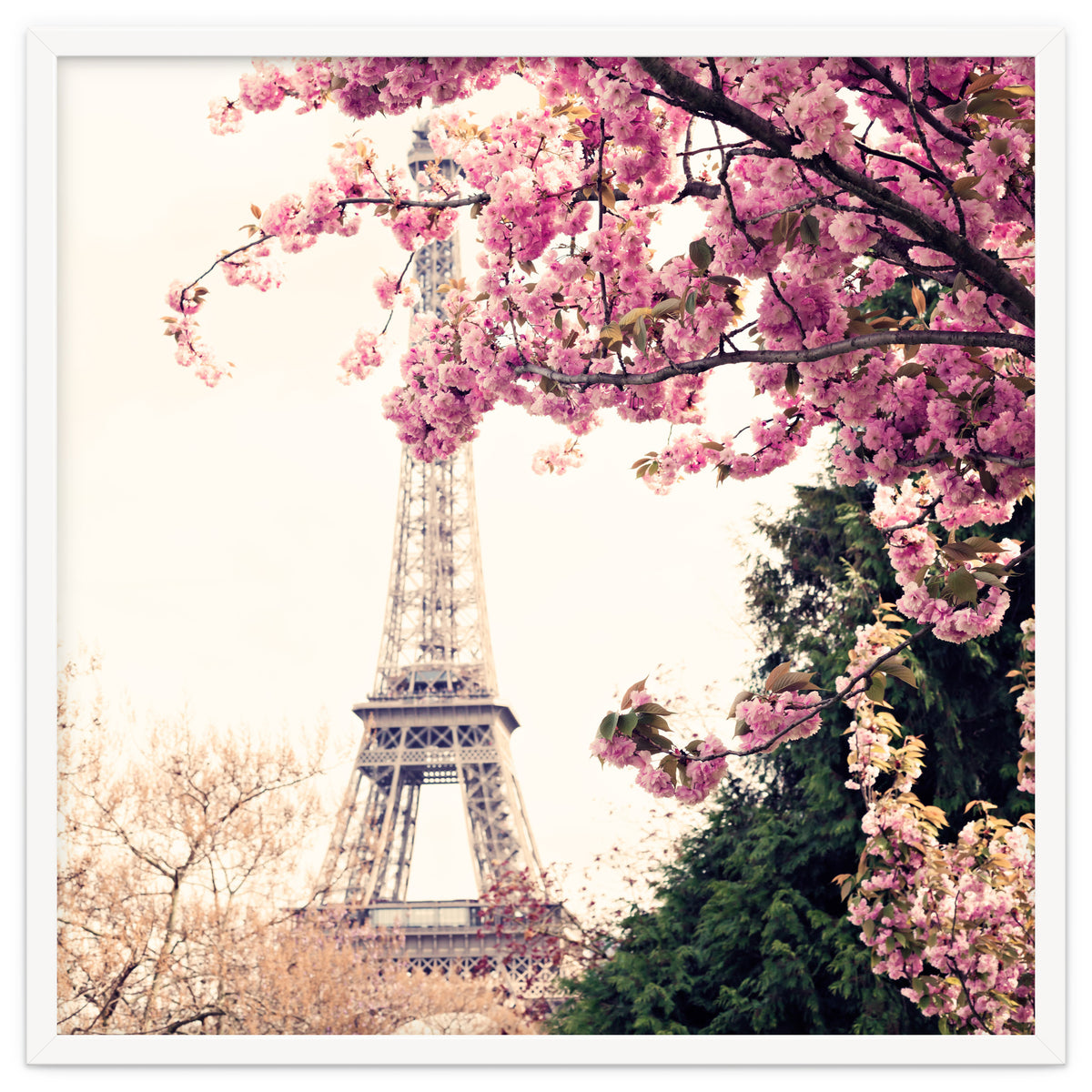 Paris in the Spring