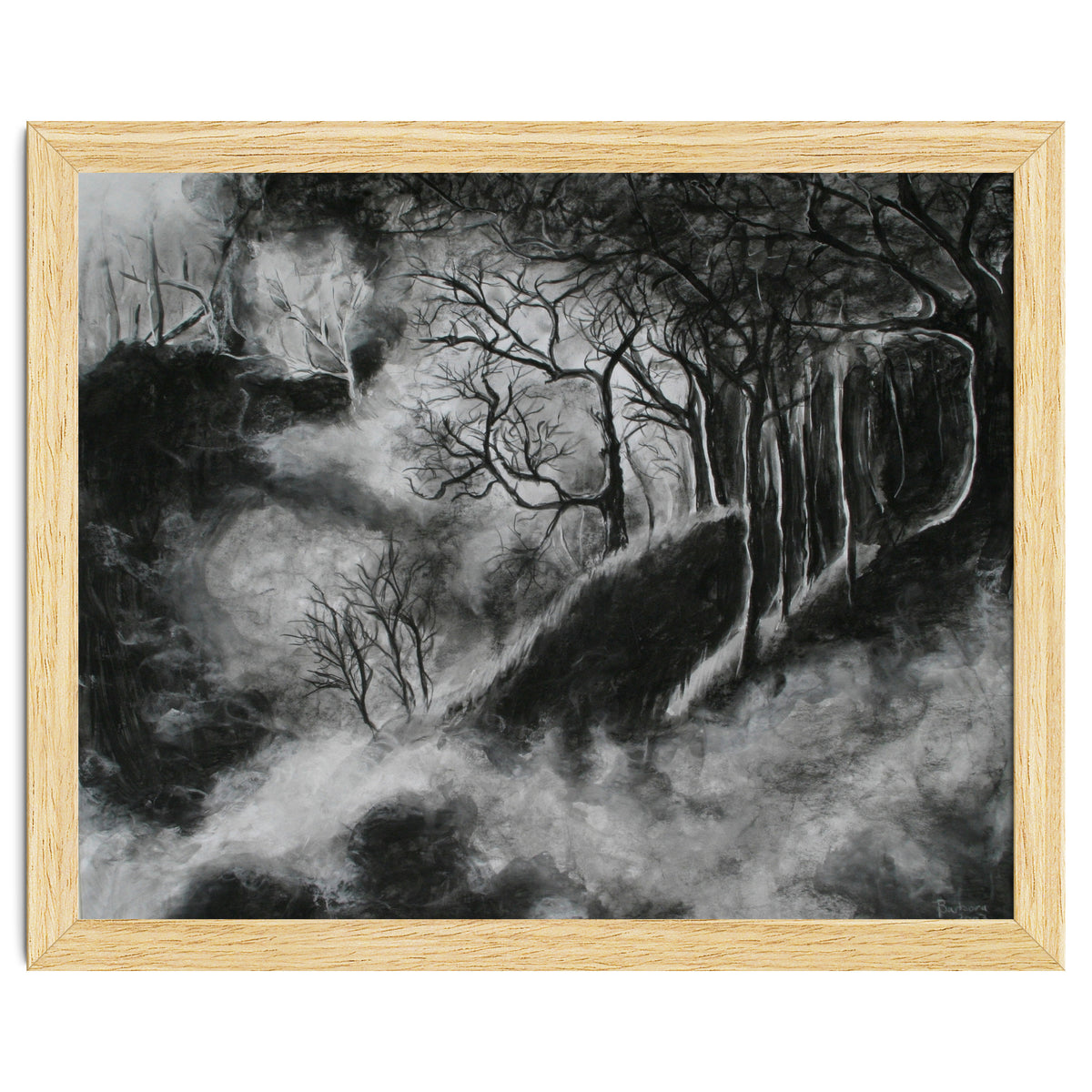 Black and White Forest in Clouds