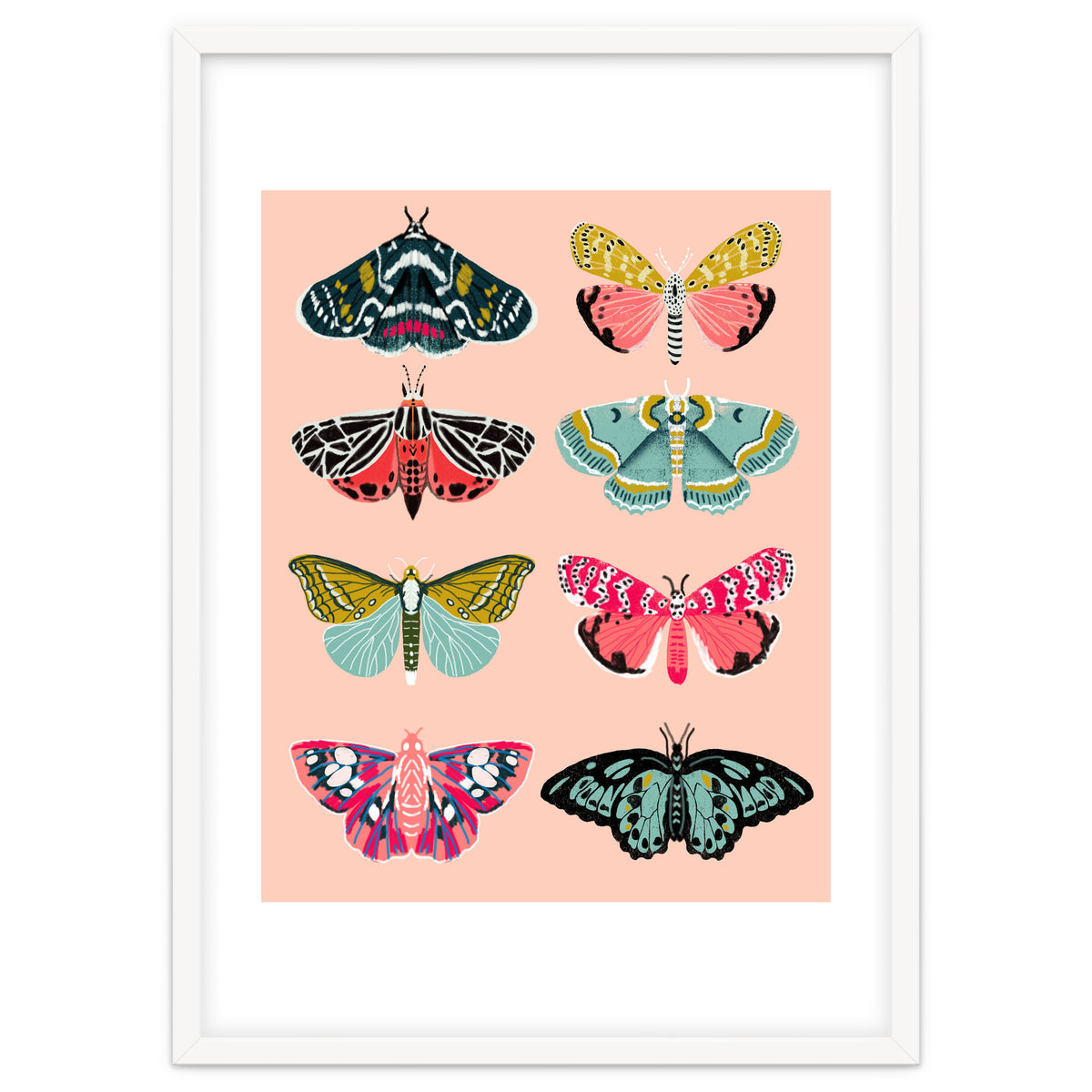 Lepidoptery No. 1