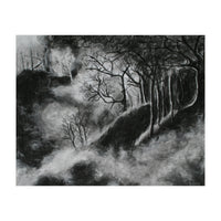 Black and White Forest in Clouds (Print Only)