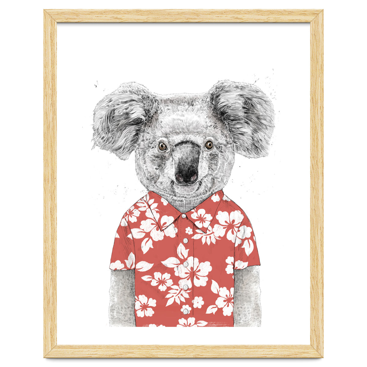 Summer Koala