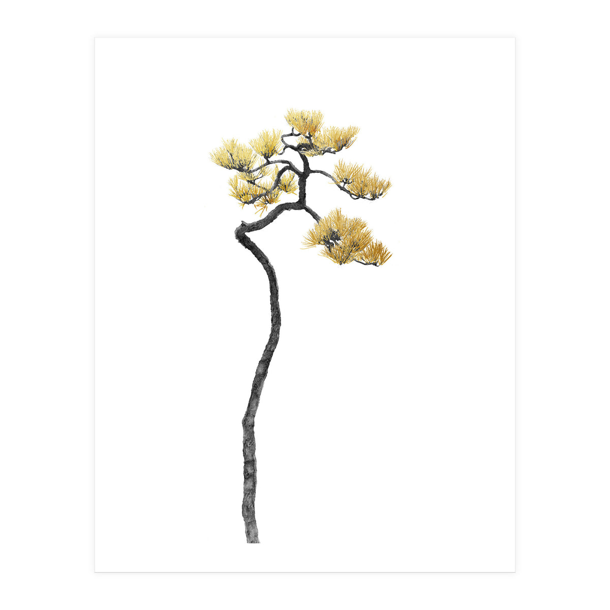 Bonsai Tree 05 (Print Only)
