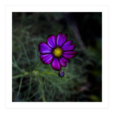 Floral autumn (Print Only) thumbnail