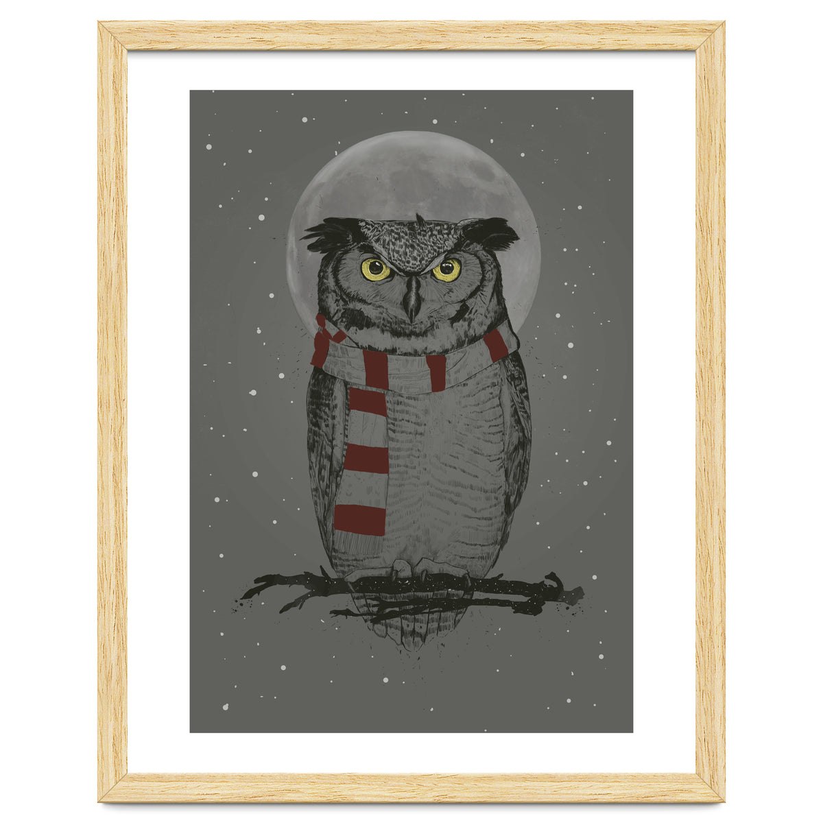 Winter Owl