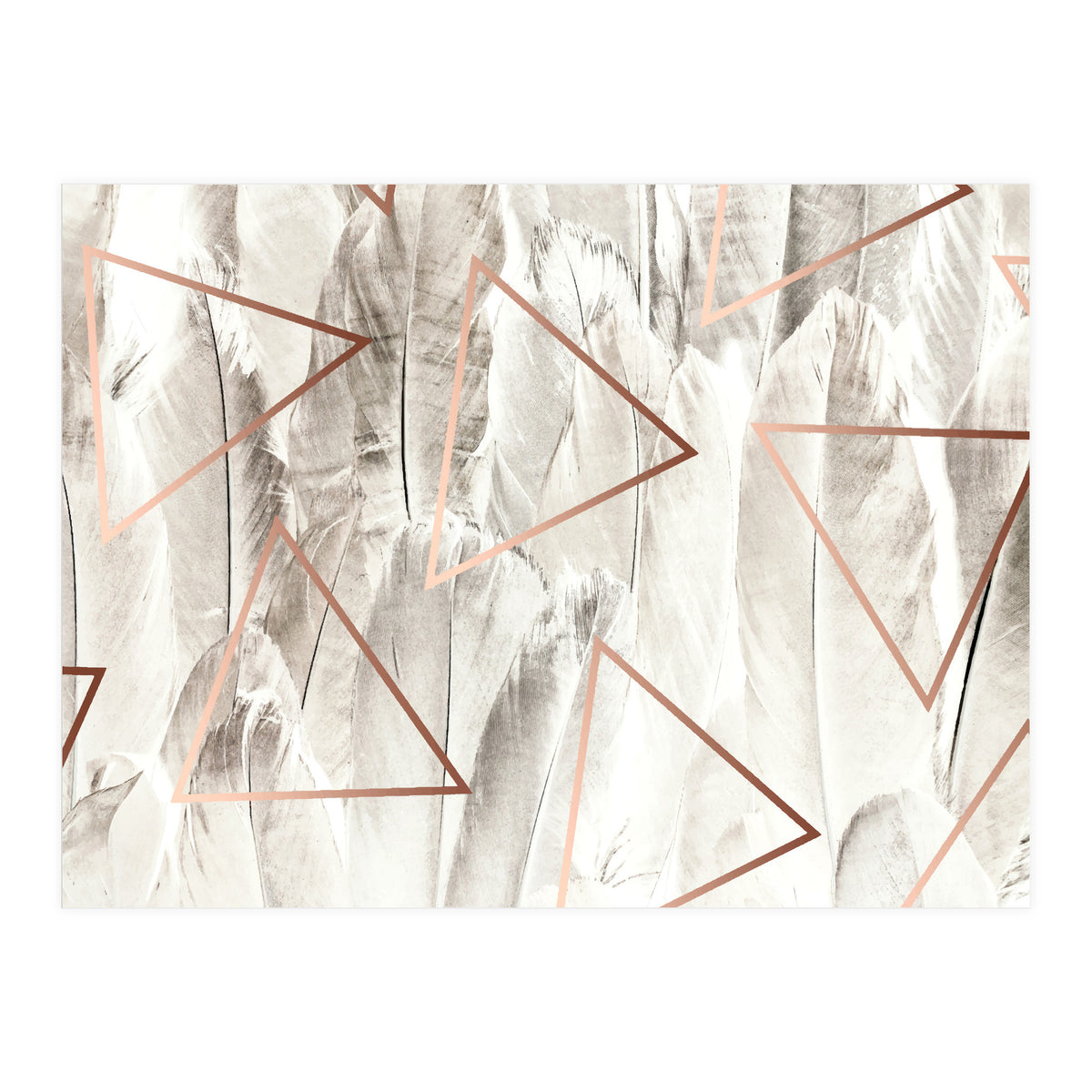 Feathers & Copper (Print Only)