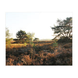 Heath landscape (Print Only) thumbnail
