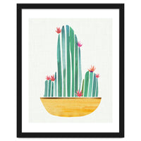 Bowl O' Cactus