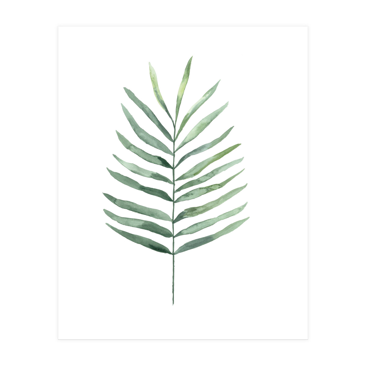 Botanical Illustration Fern (Print Only)