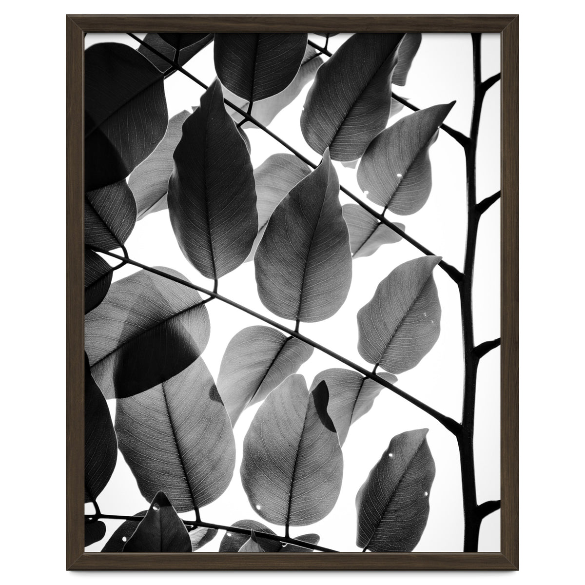 Branches and Leaves II