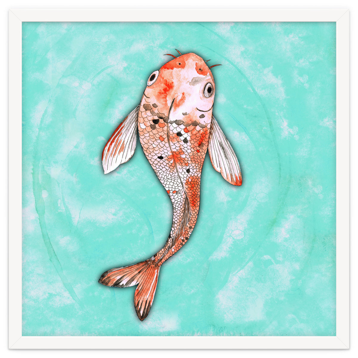 Koi fish