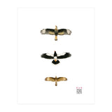 Falconidae n.2 (Print Only) thumbnail