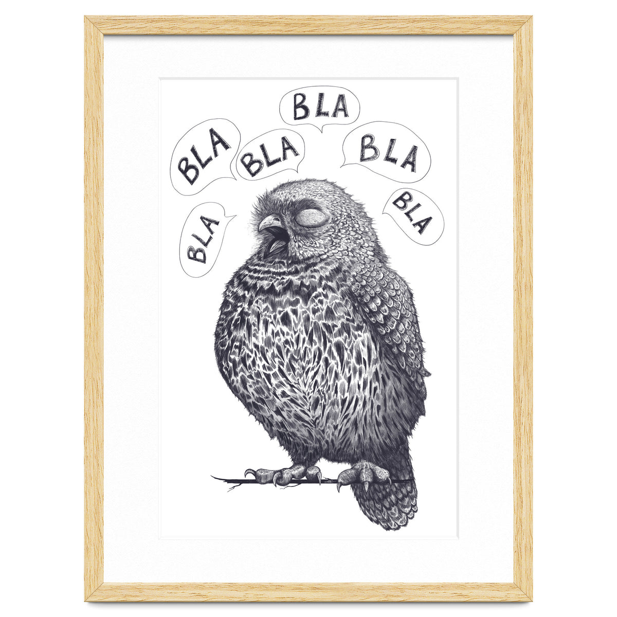 Owl Bla Bla Bla