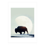 Wild West (Print Only) thumbnail