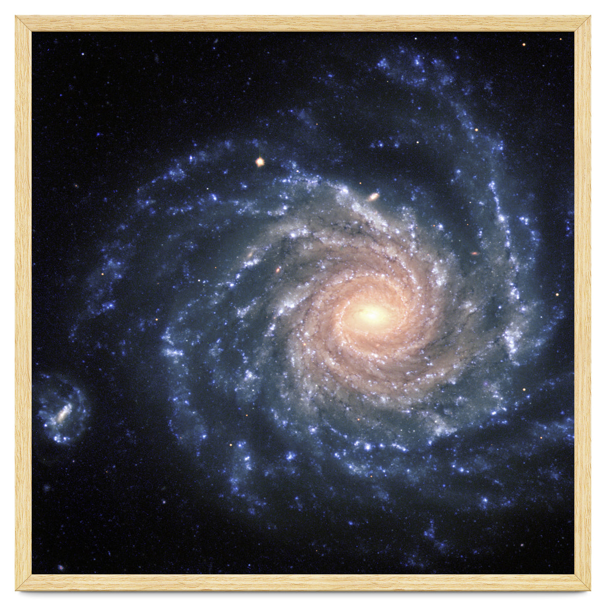 Spiral Galaxy NGC 1232