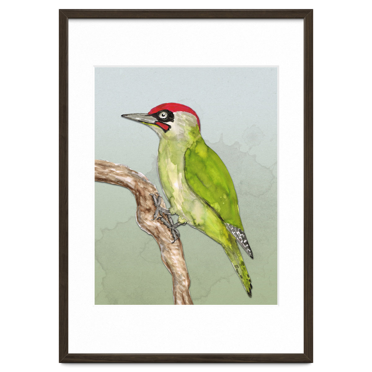 Green woodpecker