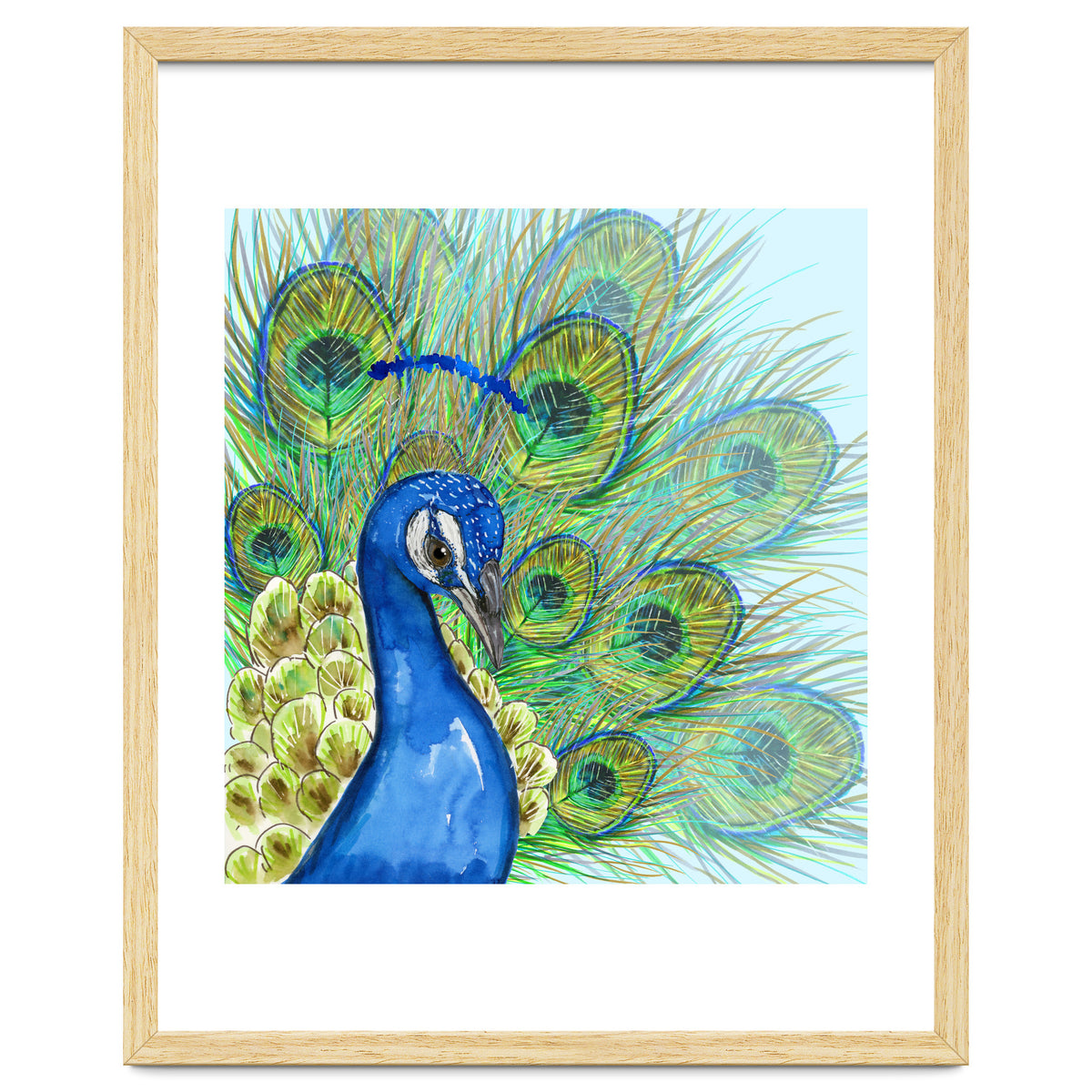 Peacock portrait
